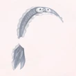 Dried Fish