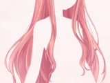 Hairs/Gallery
