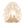 Glorious Chapter