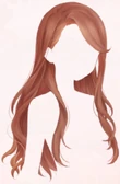 Elegant Long Hair