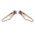 Illusionary Crystal Wings