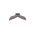 Inverted Ideal