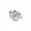 Frozen Finery