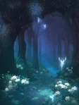 Night of Forest