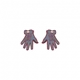 Velvet Damselfish