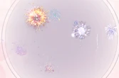 Galactic Dazzle