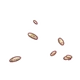 Aureate Treasure