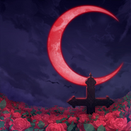 Blood Moon Rose