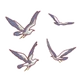 Seagull in Breeze