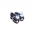 Frost Moon (Frozen Flower)