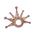 Symphony of Stars