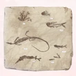 Prehistoric Aquatic Fossil