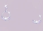 Proof of Moon Gazing.png (16 KB) Proof of Moon Gazing