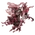 Eternal Blessing