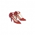 Blood Rose