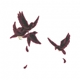 Fluttering Crows