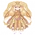 Snow Lotus (Dress)