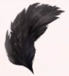 Black Swan's Crown
