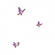 Butterflies of Dawn