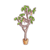Wish Bonsai