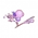 Affectional Fragrance