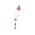 Time Illusion