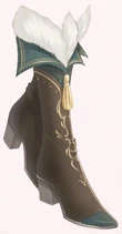 Ankle Boots of Wish