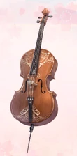 Maple and Violin