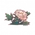 Peony Talk