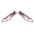 Buzzing Crystal Wings