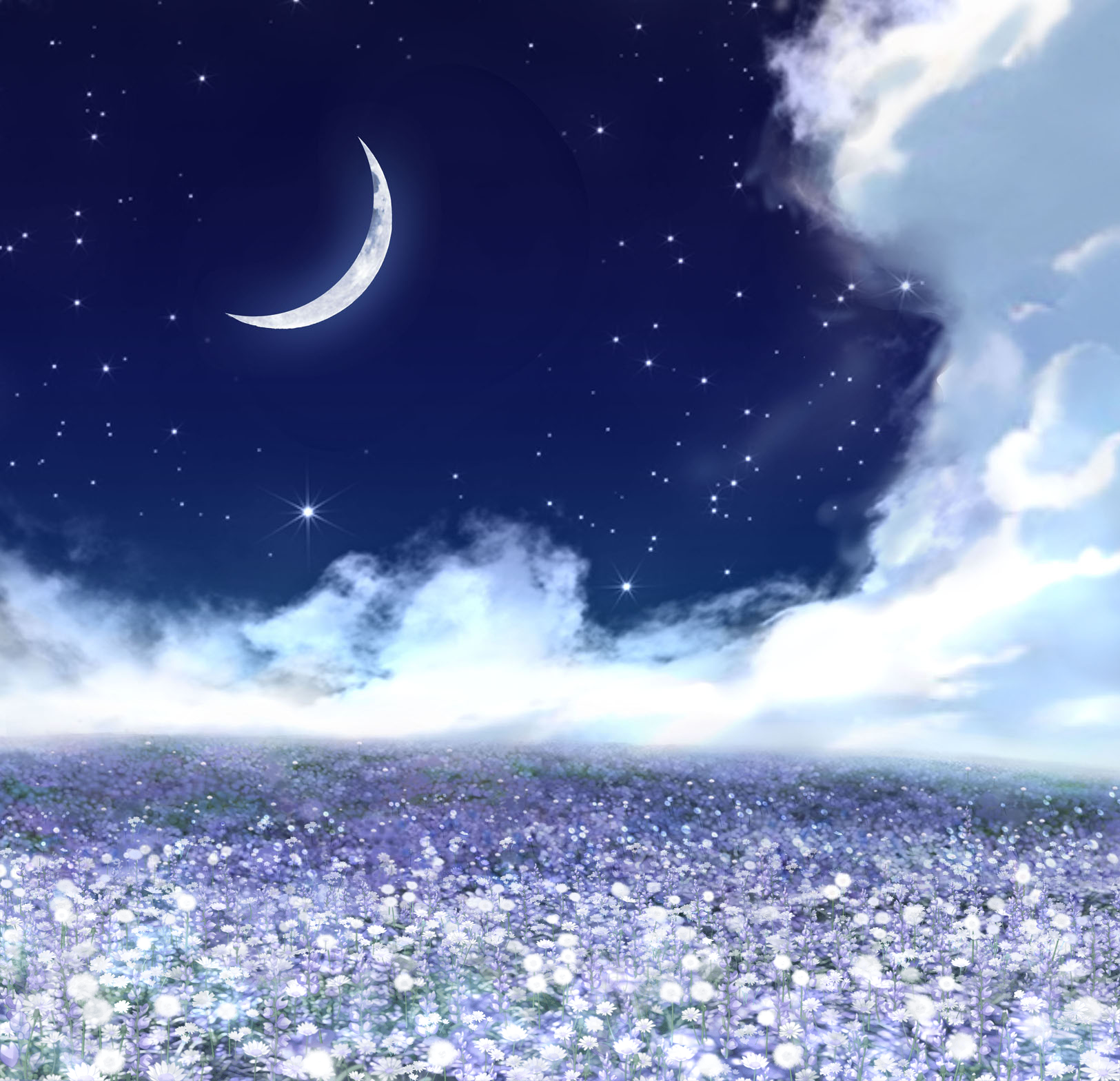Wallpaper Clouds, Flowers, Scenic, Field, Anime Girl, Sky, Scenery -  Resolution:1920x1080 - Wallpx