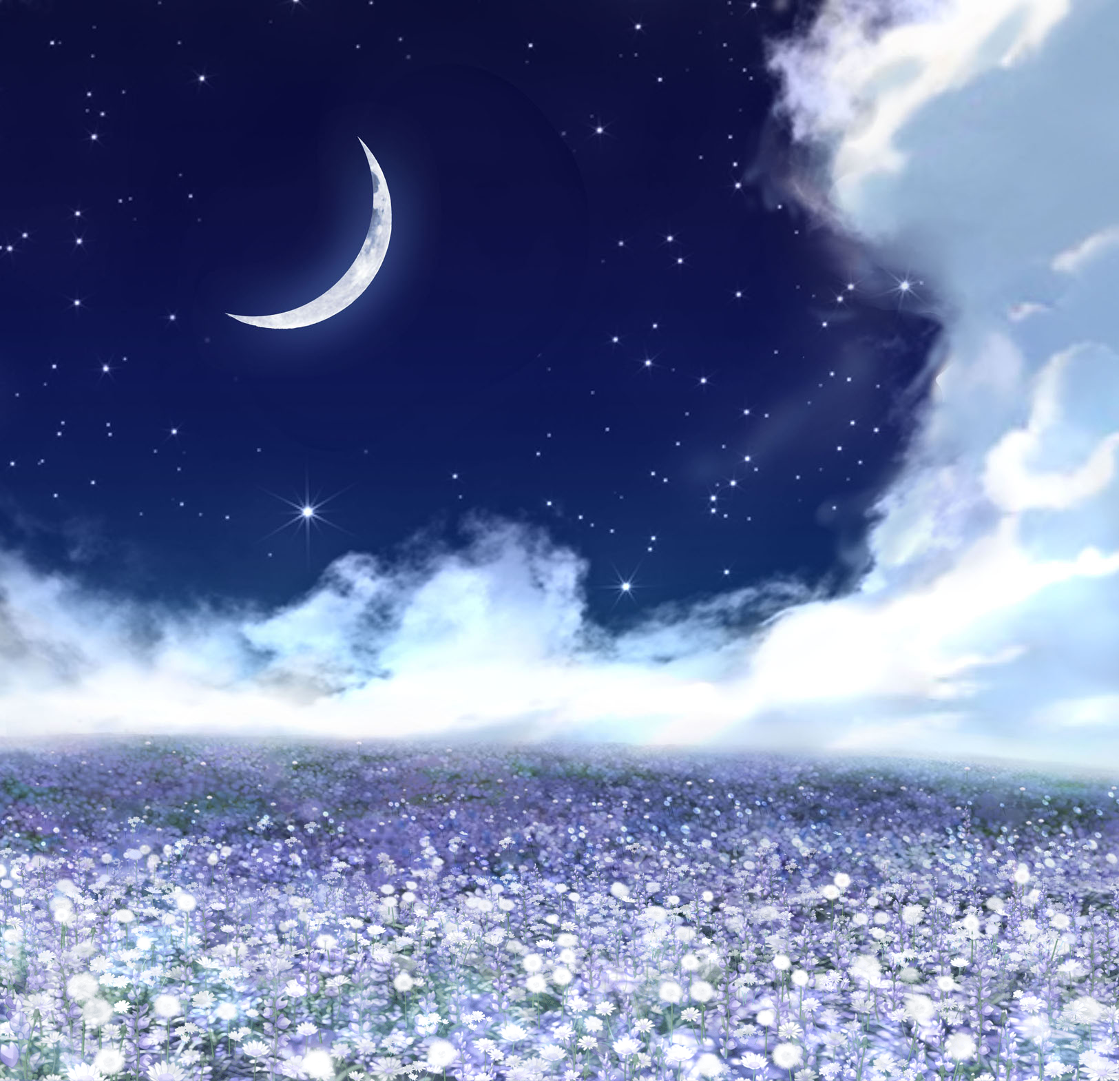 Featured image of post Flower Field Anime Background