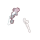 Bedewed Bloom