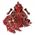 Blazing Flower