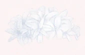 Thin Snow Flower