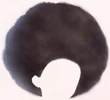 Fashion Fro