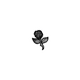 Shadow of Flowers