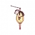 Lucky Lantern