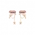 Totem of Memory