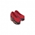 Delicacy Discovery Journey