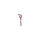 Light of Firefly