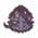 Potion Fanatic