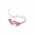 Immortal Stigmata