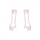 Bone Within