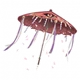 Kasahara