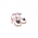 Sweet Teddy-White