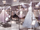 Cicia Design School