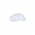 Thin Snow Flower