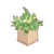 Green Leaf Lattice