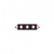 Bonetooth Necklace